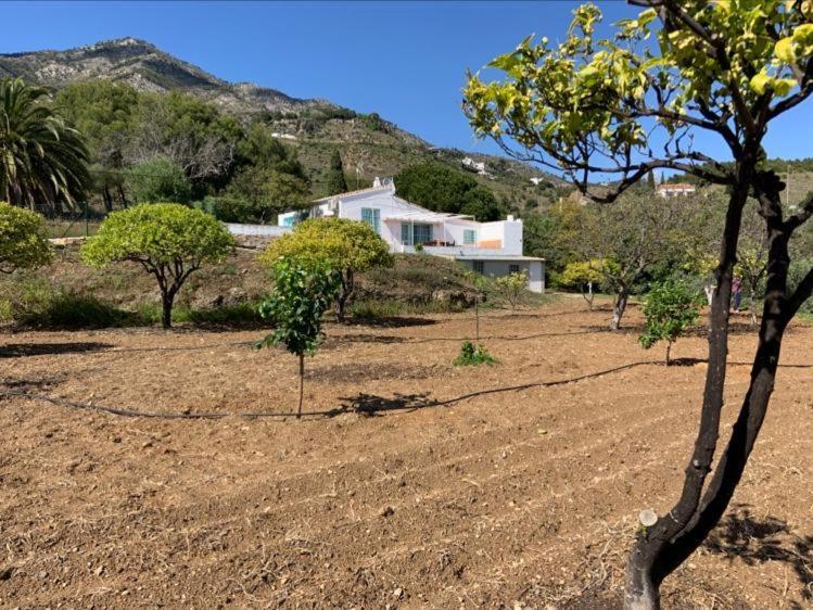 Casa 2Mariposas Villa Mijas Exteriör bild